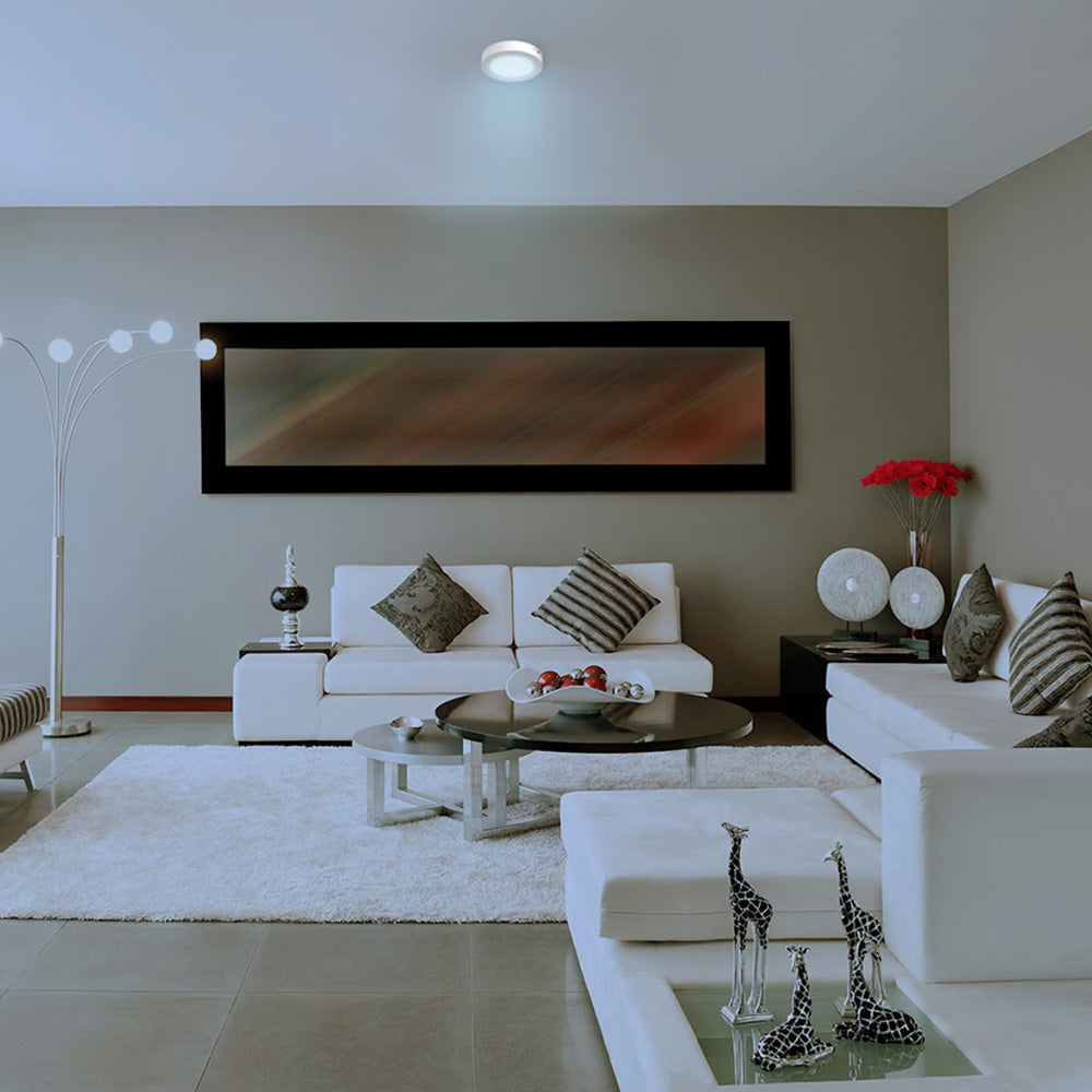 Lámpara Plafón LED Techo 12 W, Luz de Día, Interiores, No atenuable, LED integrado