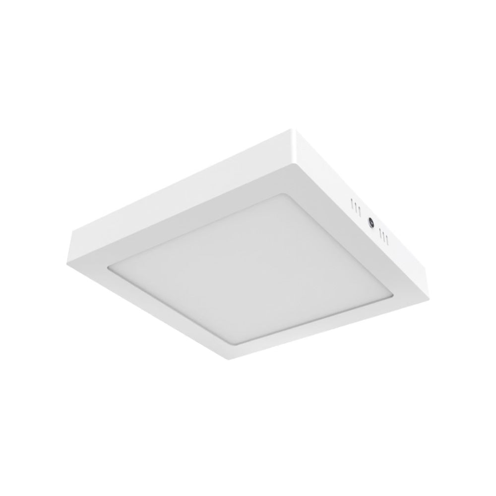 Lámpara Plafón LED Techo 18 W, Luz de Día, Interiores, No atenuable, LED integrado