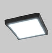 Lámpara Plafón LED Techo 18 W, Luz de Día, Interiores, No atenuable, LED integrado.